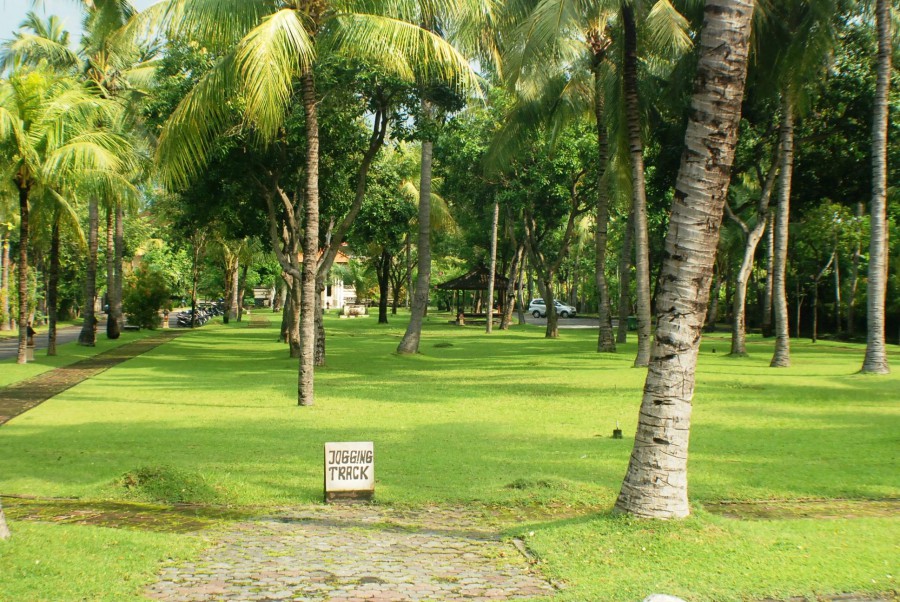 SUNARI BEACH RESORT LOVINA — фото 9