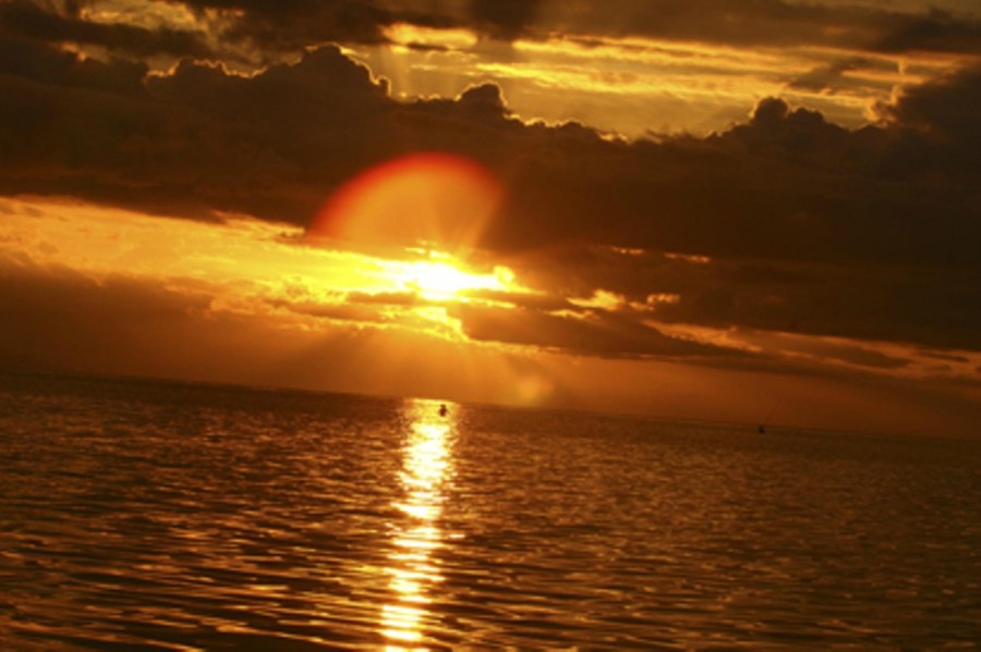 SUNARI BEACH RESORT LOVINA — фото 17