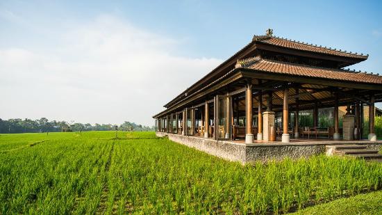 TANAH GAJAN A RESORT BY HADIPRANA (EX. THE CHEDI CLUB) — фото 15