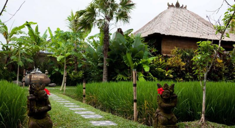 TEPI SAWAH — фото 13