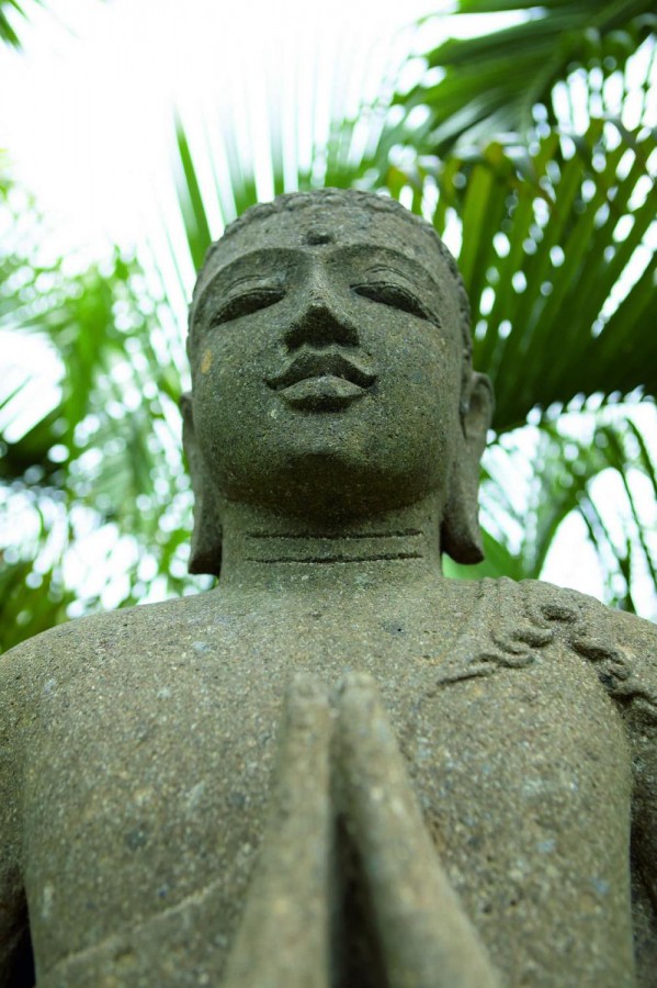 THE AHIMSA — фото 4