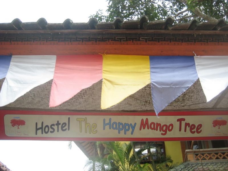THE HAPPY MANGO TREE — фото 7