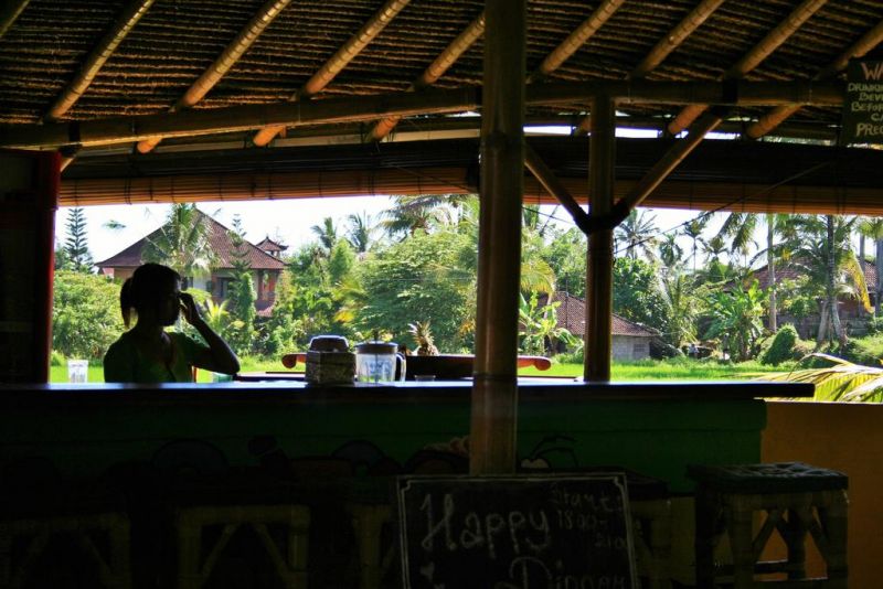 THE HAPPY MANGO TREE — фото 12