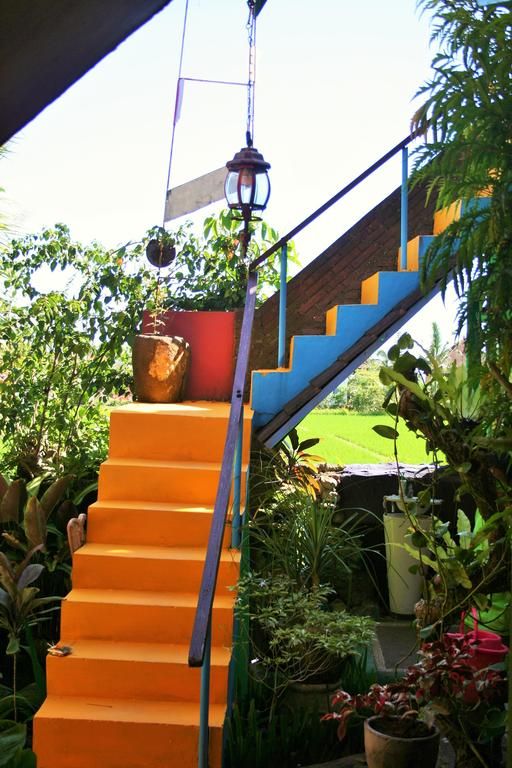 THE HAPPY MANGO TREE — фото 17