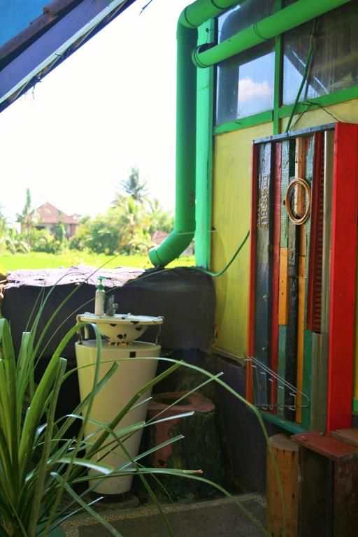 THE HAPPY MANGO TREE — фото 18