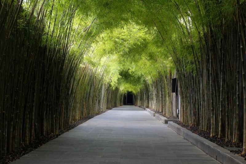 THE JINENG VILLAS — фото 15