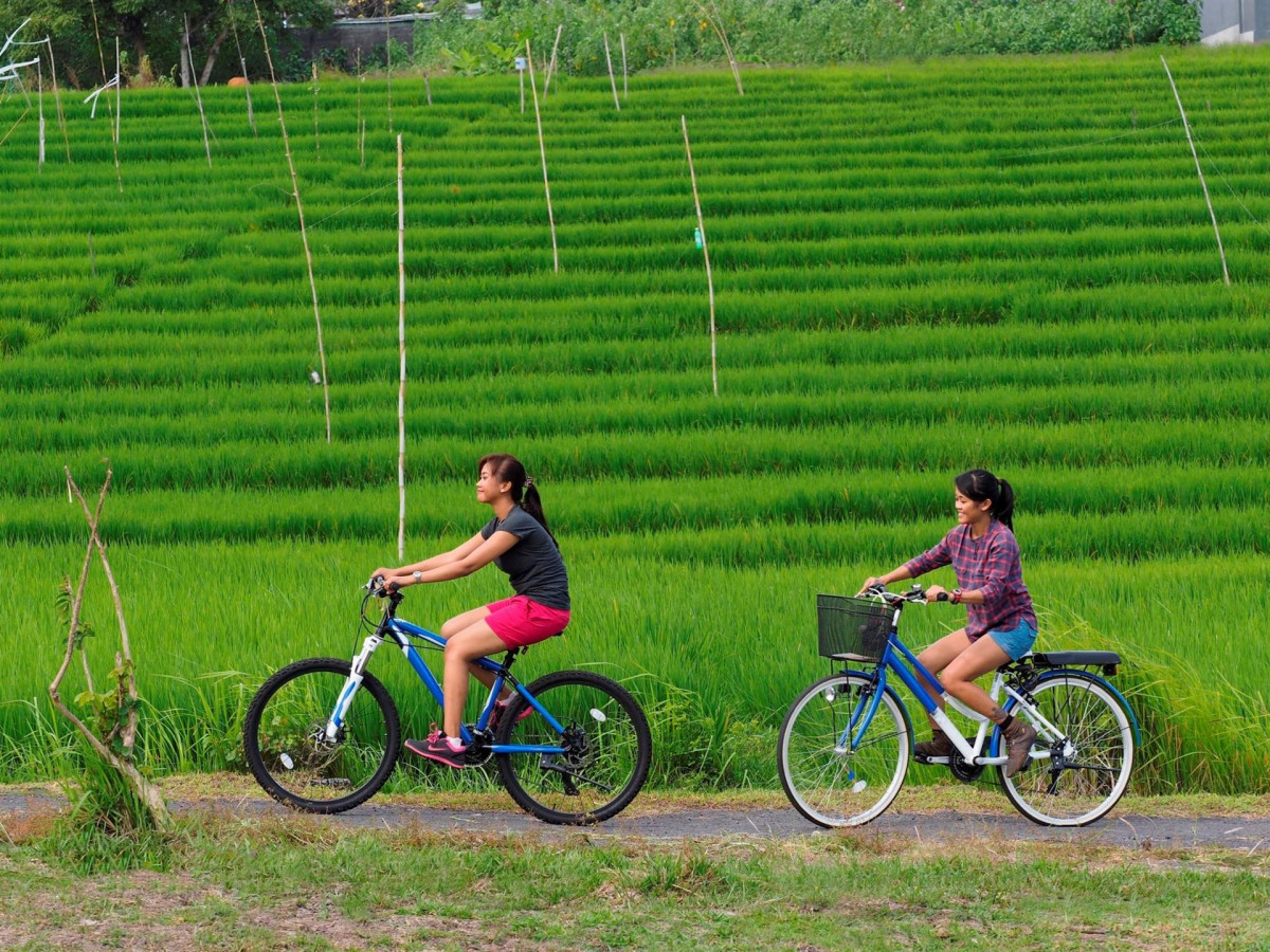 THE SANTAI UMALAS — фото 12