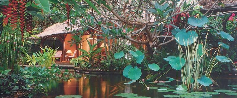 THE WATERGARDEN — фото 16