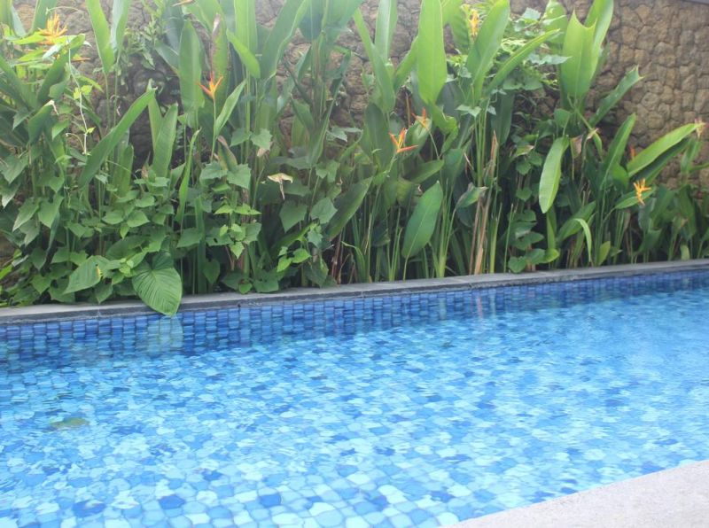 UBUD GREEN — фото 4