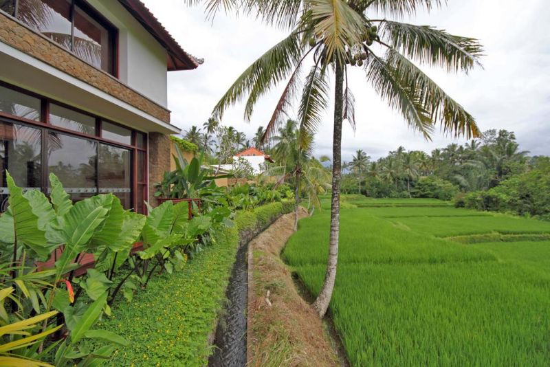 UBUD GREEN — фото 5