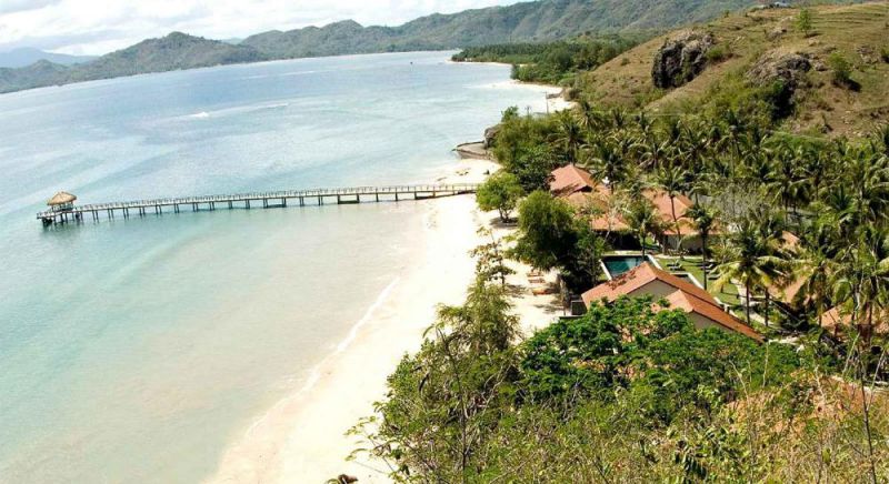 COCOTINOS SEKOTONG LOMBOK