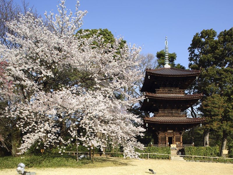 CHINZANSO TOKYO