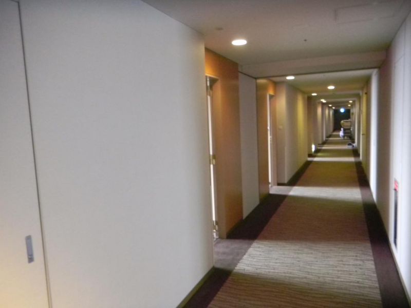 DAI-ICHI HOTEL RYOGOKU — фото 11