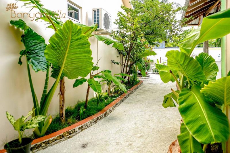BANYAN VILLA DHANGETHI — фото 8