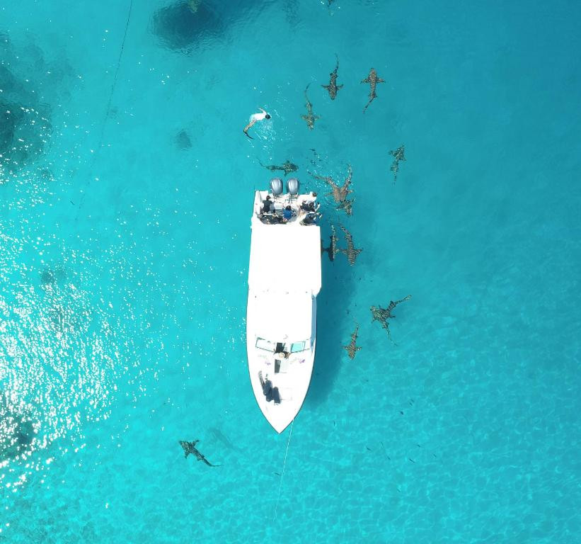 ECOBOO MALDIVES — фото 4