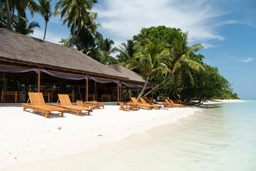 ECOBOO MALDIVES — фото 7