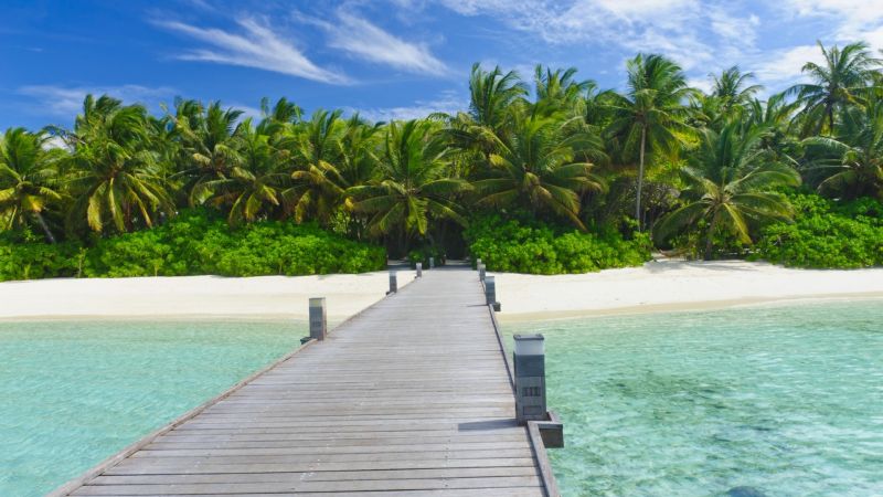 FULHADHOO INN — фото 4