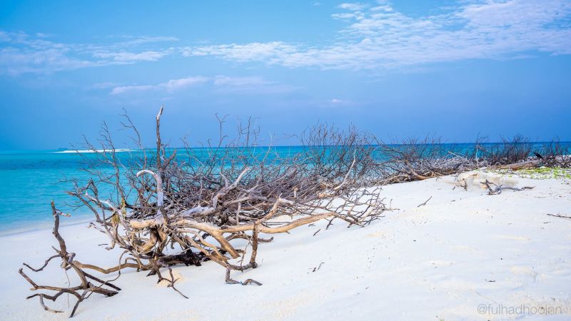 FULHADHOO INN — фото 7