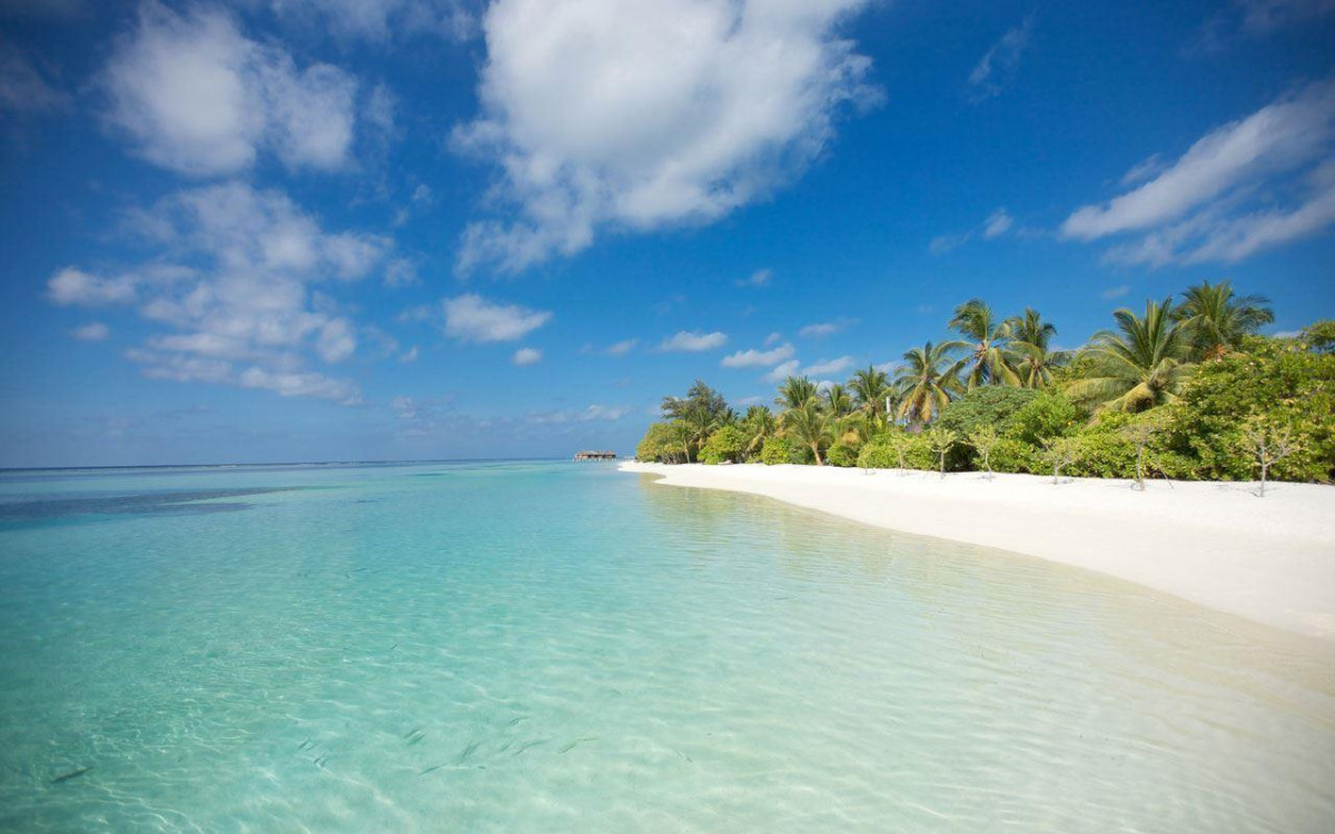 LUX* SOUTH ARI ATOLL RESORTS & VILLAS — фото 4