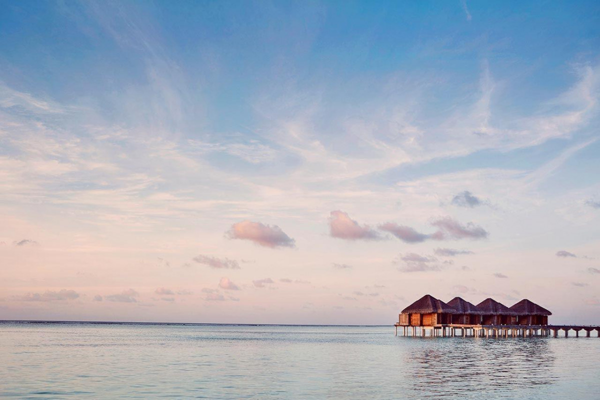 LUX* SOUTH ARI ATOLL RESORTS & VILLAS — фото 9