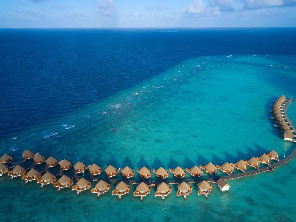 MERCURE KOODDOO MALDIVES — фото 11
