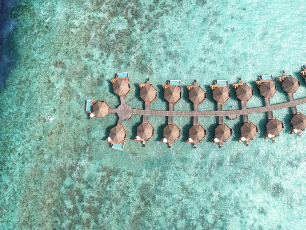 MERCURE KOODDOO MALDIVES — фото 17