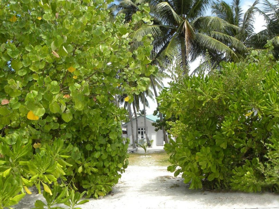 VAALI ISLAND ESCAPES & DIVE — фото 11