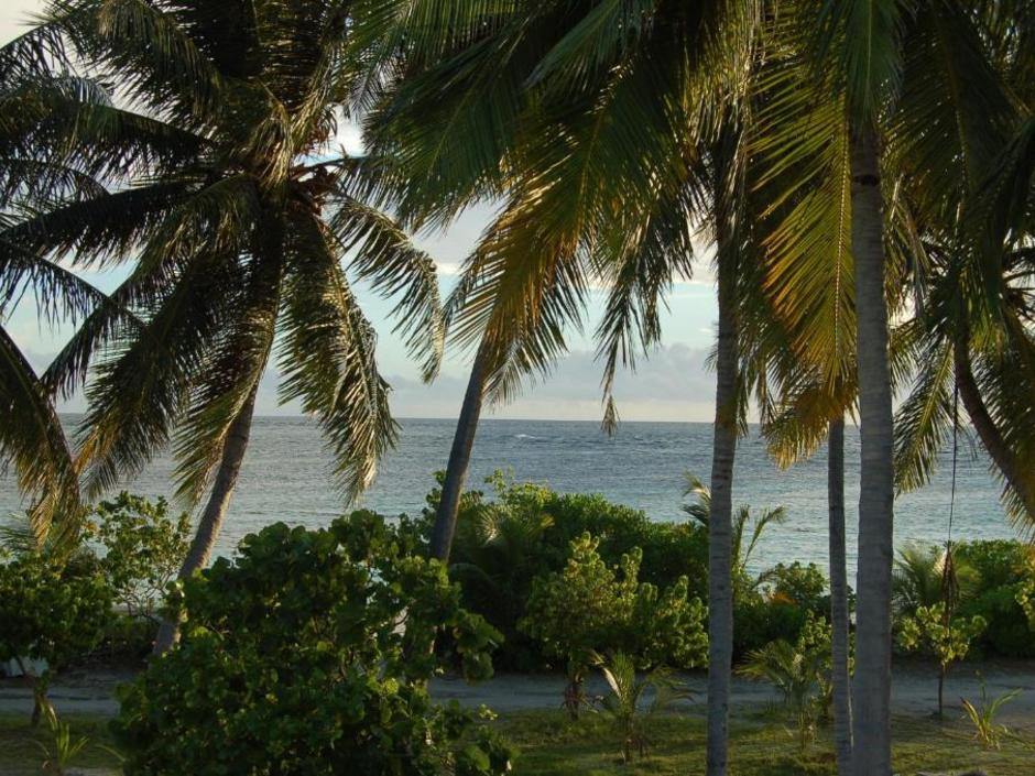 VAALI ISLAND ESCAPES & DIVE — фото 13