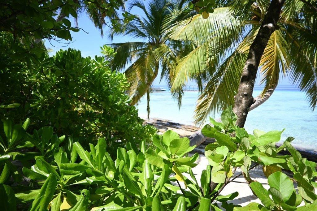 YASH NATURE RESORT — фото 5