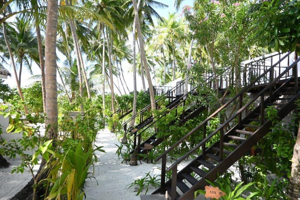 YASH NATURE RESORT — фото 6