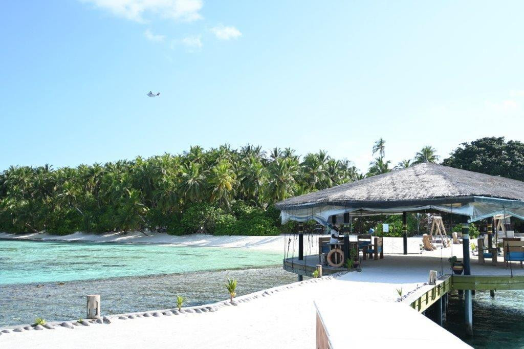 YASH NATURE RESORT — фото 12