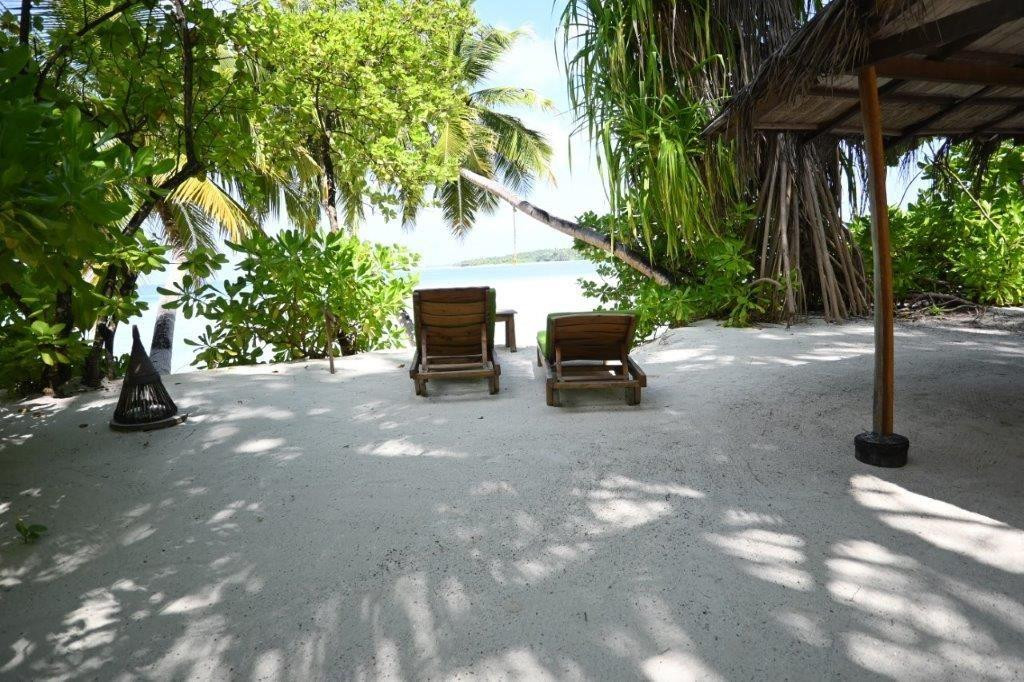 YASH NATURE RESORT — фото 18