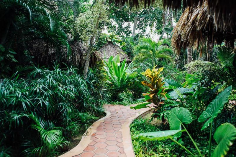 CASA BARBARA — фото 15