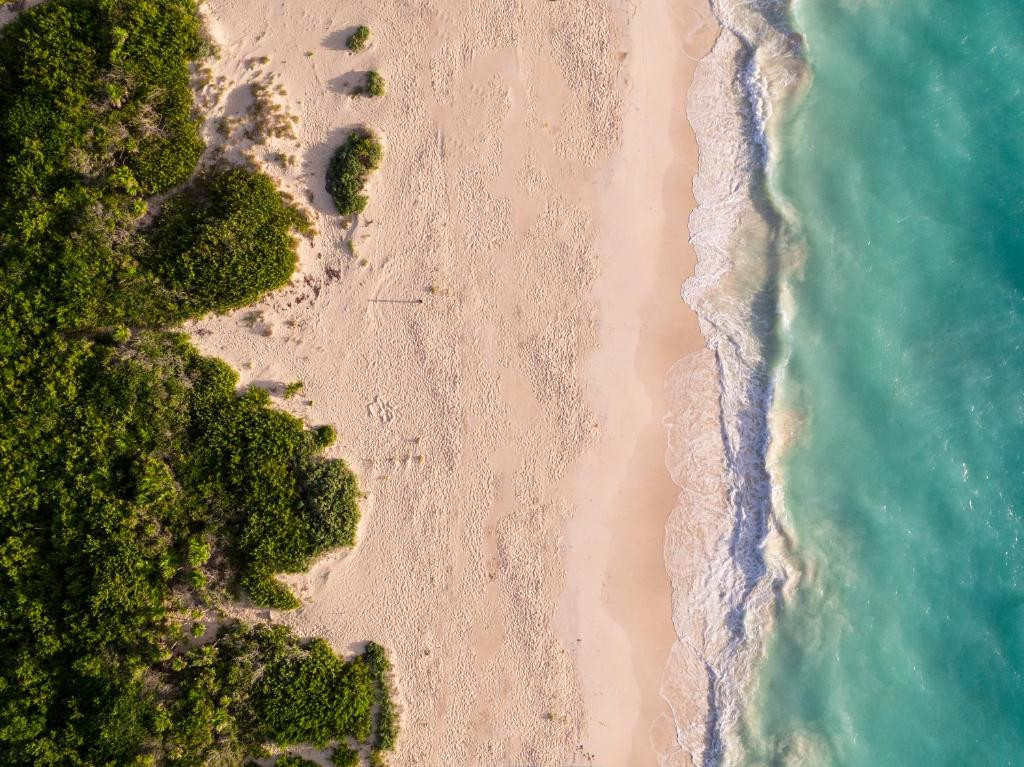 GRAND PALLADIUM COSTA MUJERES RESORT & SPA — фото 10