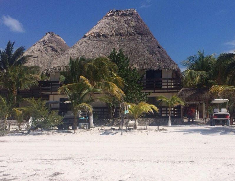HOLBOX SUITE