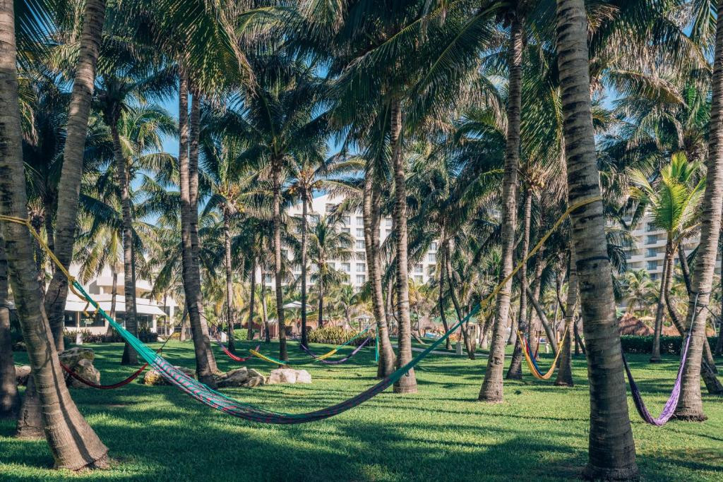 IBEROSTAR SELECTION CANCUN (EX. HILTON CANCUN GOLF & SPA RESORT) — фото 17