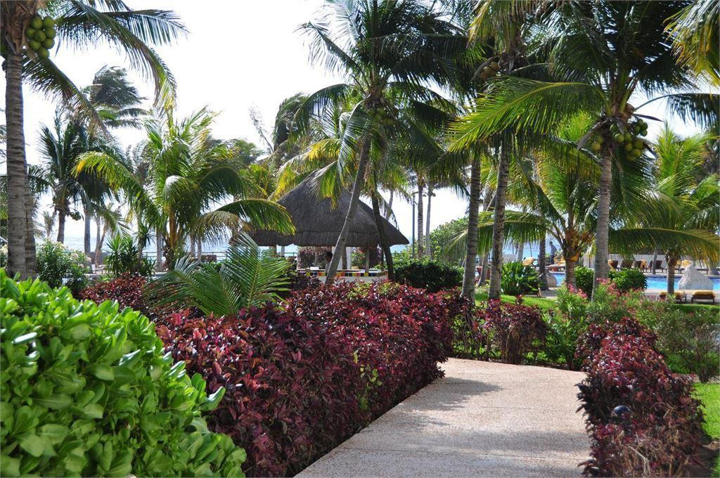 OASIS CANCUN LITE — фото 10
