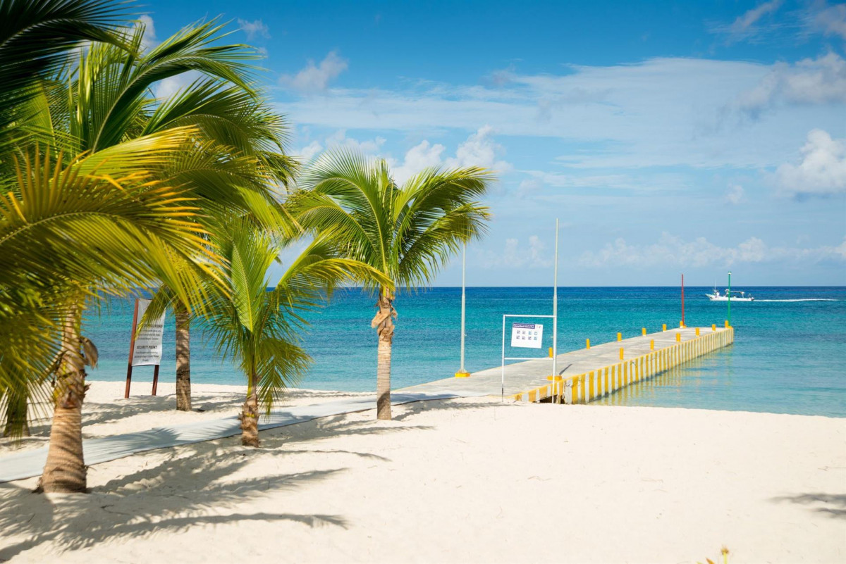 OCCIDENTAL ALLEGRO COZUMEL — фото 10