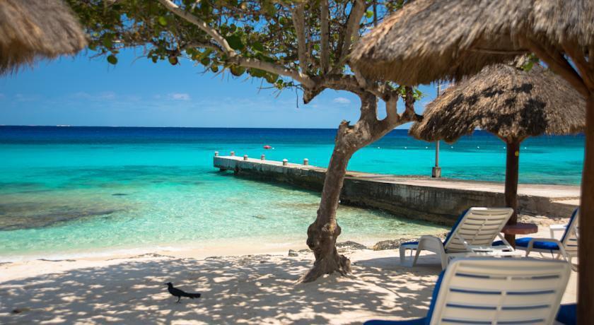 PLAYA AZUL COZUMEL — фото 11