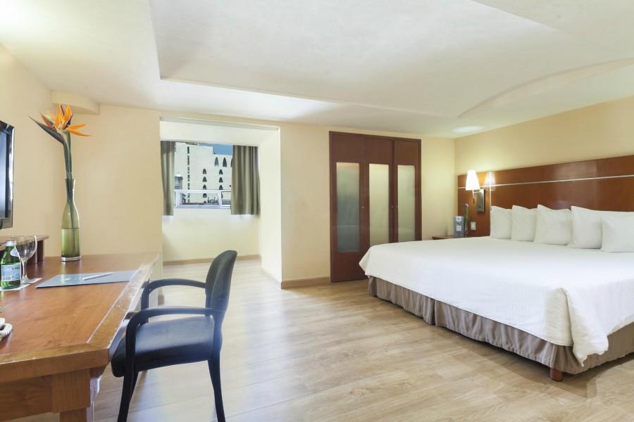 EUROSTARS ZONA ROSA SUITES — фото 14
