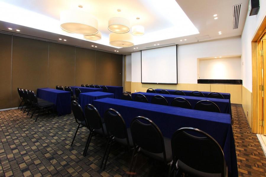 FIESTA INN INSURGENTES VIADUCTO — фото 14