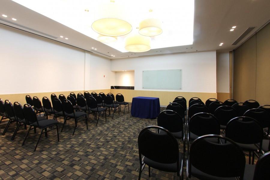 FIESTA INN INSURGENTES VIADUCTO — фото 15