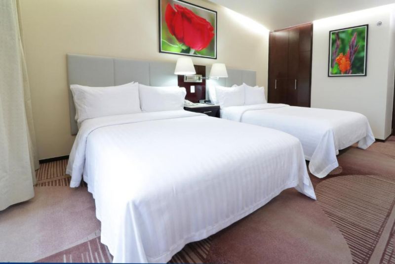 HOLIDAY INN HOTEL & SUITES MEXICO MEDICA SUR — фото 5
