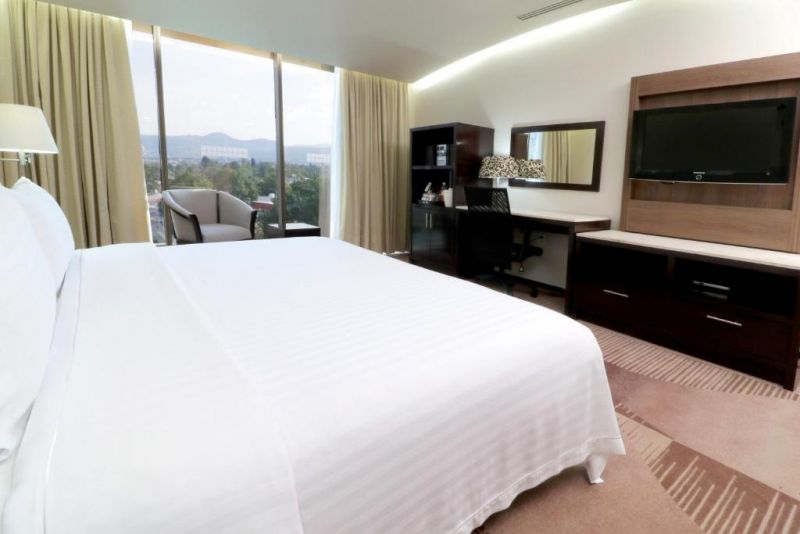 HOLIDAY INN HOTEL & SUITES MEXICO MEDICA SUR — фото 6