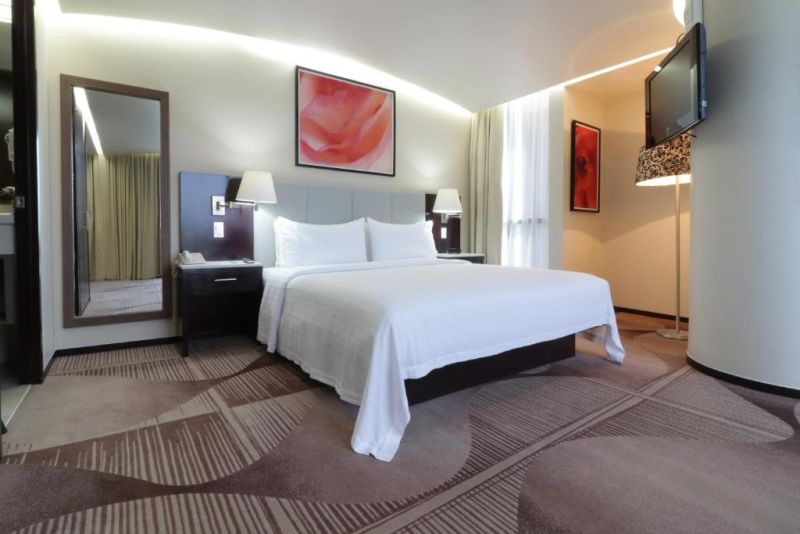 HOLIDAY INN HOTEL & SUITES MEXICO MEDICA SUR — фото 10