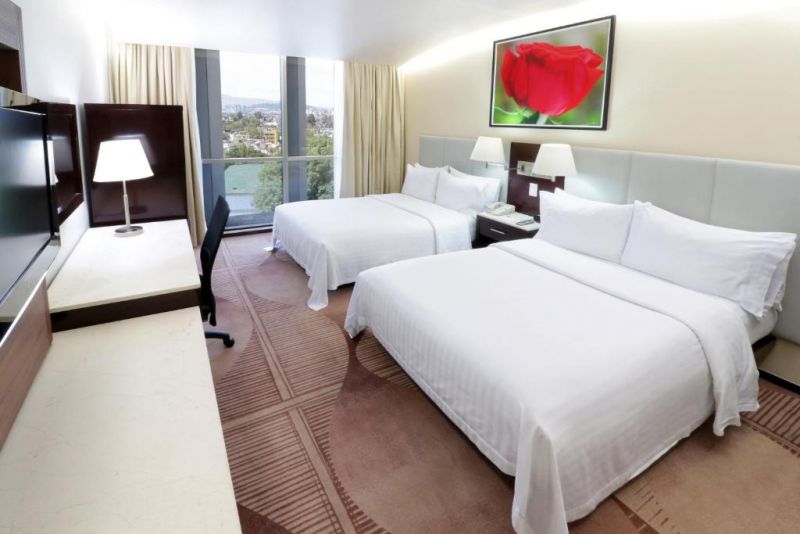 HOLIDAY INN HOTEL & SUITES MEXICO MEDICA SUR — фото 11