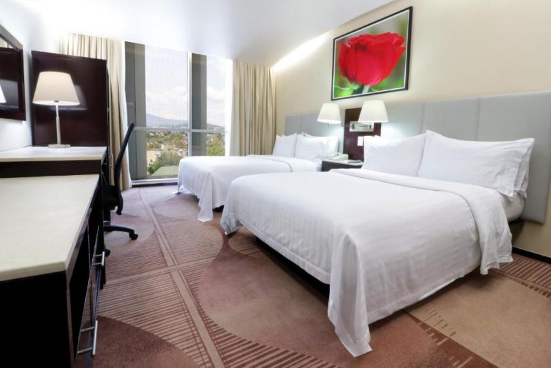 HOLIDAY INN HOTEL & SUITES MEXICO MEDICA SUR — фото 12