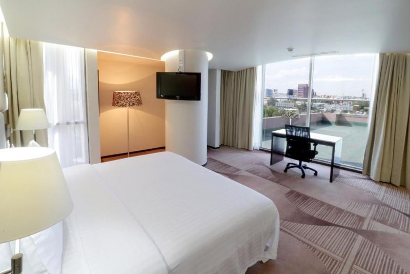 HOLIDAY INN HOTEL & SUITES MEXICO MEDICA SUR — фото 16