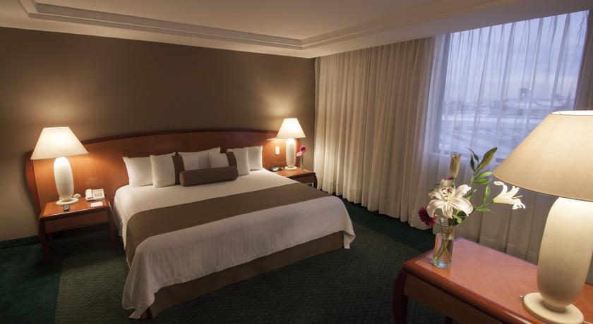 HOLIDAY INN MEXICO TOREO SATELITE — фото 15