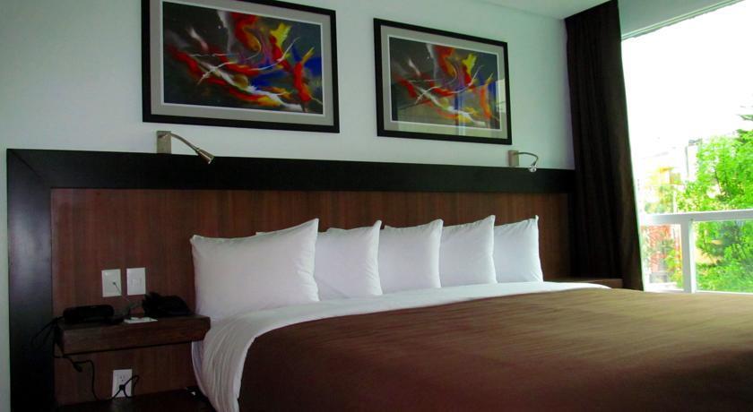 PLAZA FLORENCIA SUITES — фото 8